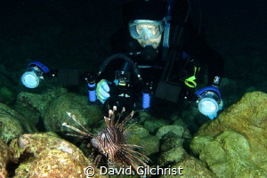 Diver moves in close to photograph a Lion Fish (Pterois v... by David Gilchrist 